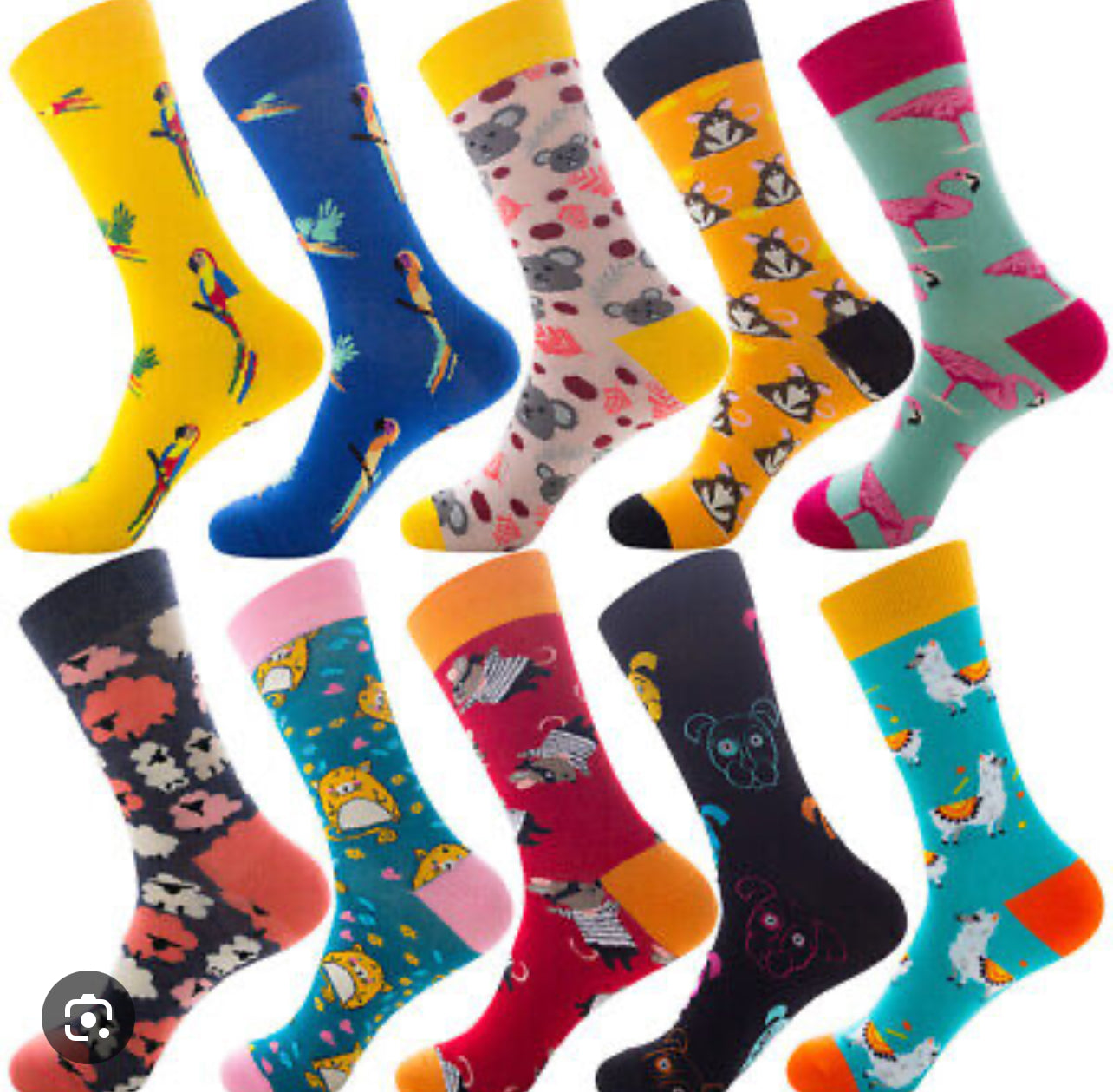 Funky sock range “Silly Socks for Serious Change”